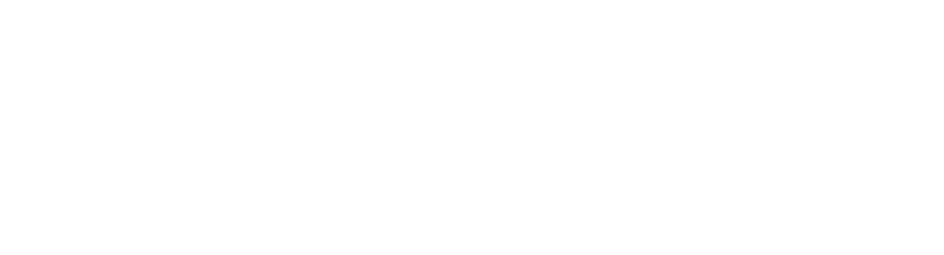 control de plagas en Cádiz